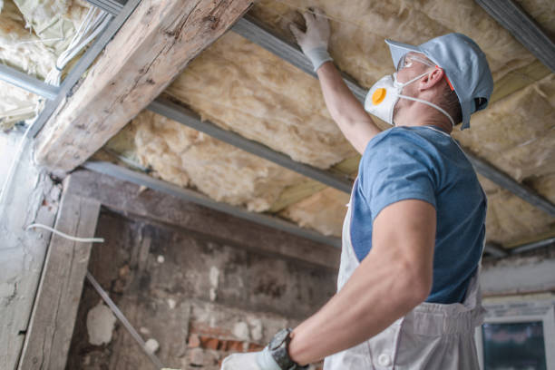 Best Wall Insulation Contractor  in Oak Ridge, FL