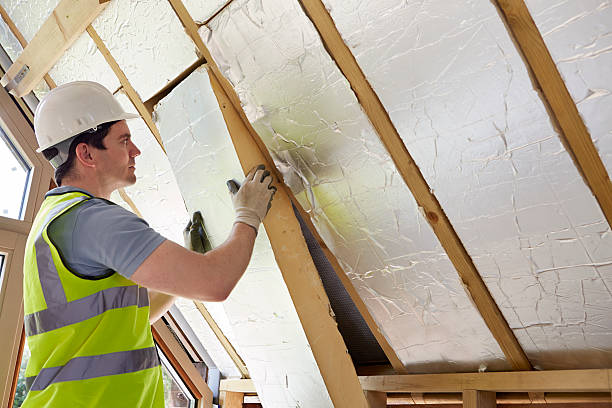 Best Insulation Inspection Services  in Oak Ridge, FL