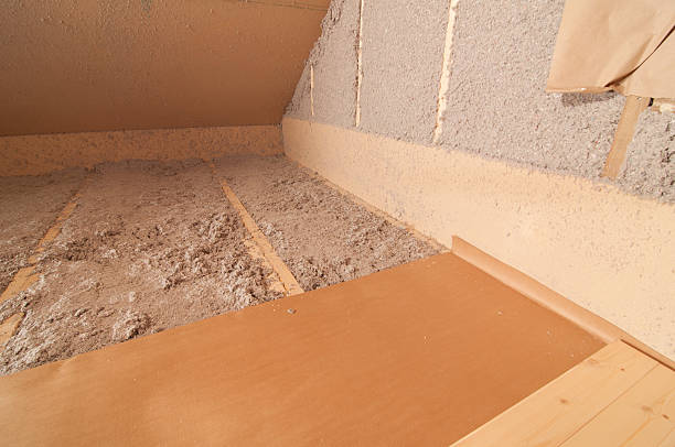 Insulation Inspection Services in Oak Ridge, FL